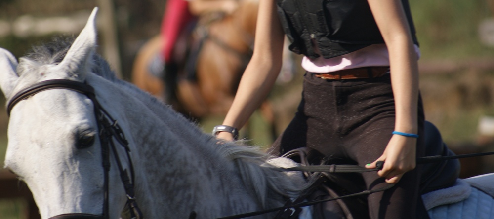 Examen de Galope para Concurso completo de equitación